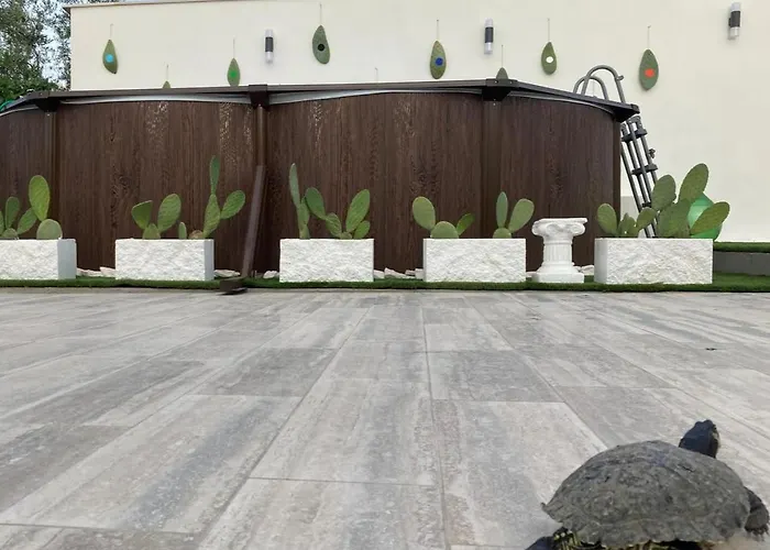 Dimora Olio & Pepe *